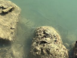 224-11-01-2026 IMG_3419